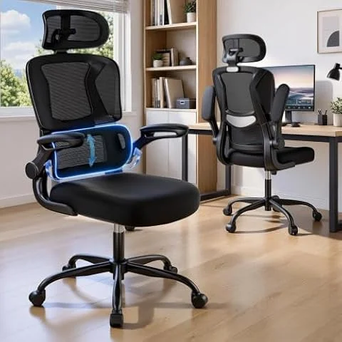 Office Chair, SPRDENG Ergonomic Office Chair with 3D Lumbar Support & Headrest, High Back S-Shaped Computer Chair with Flip-up Padded Armrests, Swivel Task Chair for Home Office