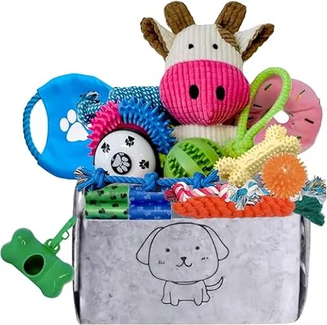 BANIC Dog Toys for Puppy Teething, 20Pcs Dog Chew Toys with Basket, Plush and Squeaky Toys, Flying Disc, Rope Toys, Training Bell, Toothbrush, Treat Balls for Puppies Small Medium Dogs